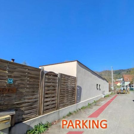Ikigai Lejlighedshotel Muhlbach-sur-Munster Eksteriør billede